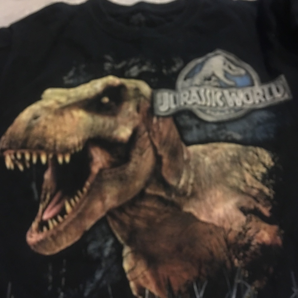 Dinosaur lovers tee- boys